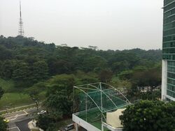 Natura@Hillview (D23), Apartment #563175741